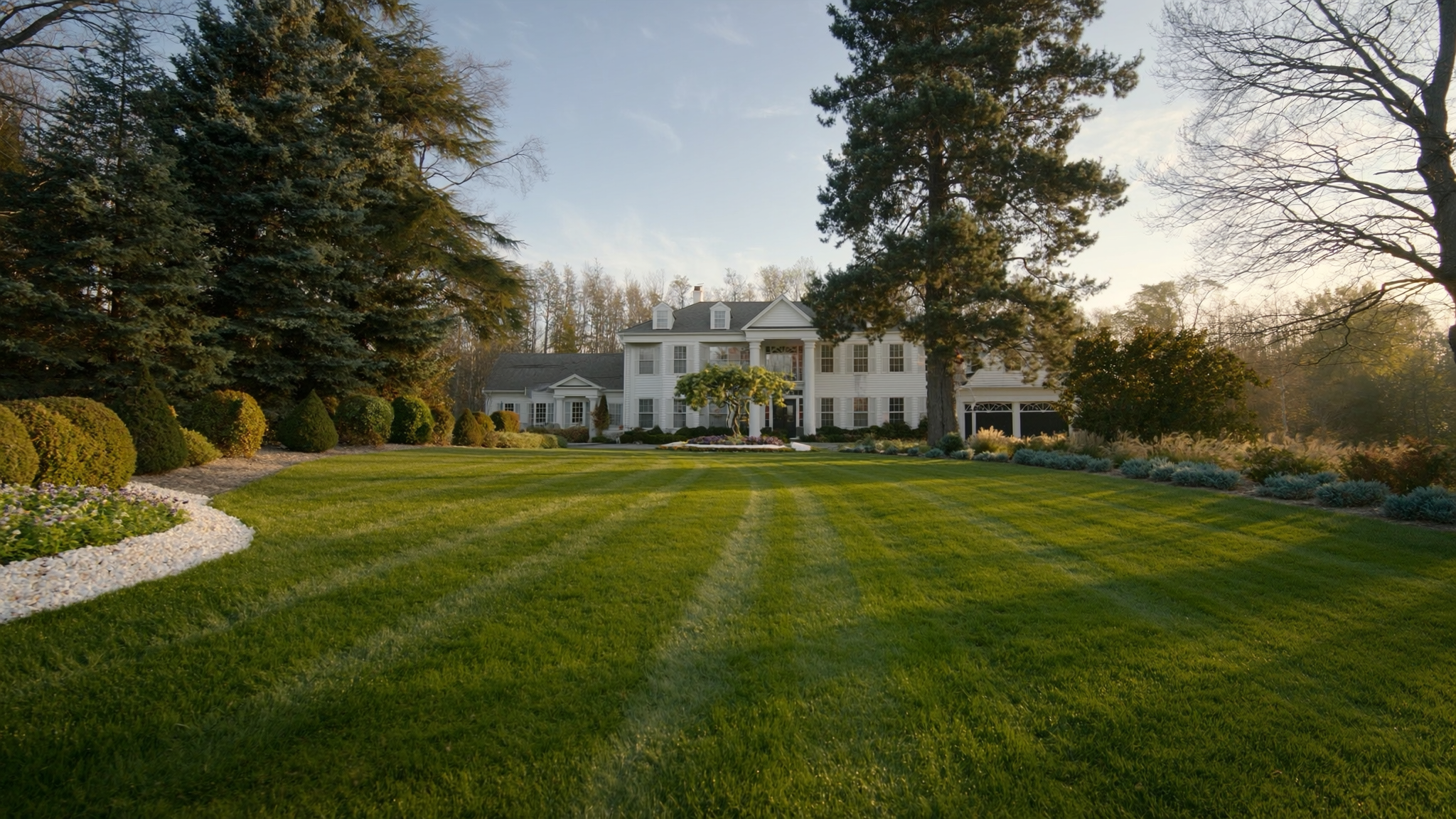 A manicured suburban front lawn with clean straight mower stripes, sweeping up toward a stately white home flanked by mature evergreens.